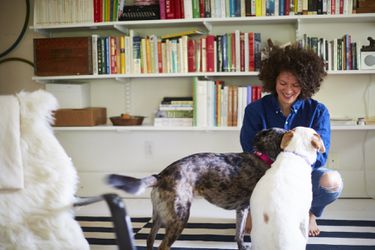 Julia Turshen in office w dogs. CREDIT DAVID LOFTUS.jpg