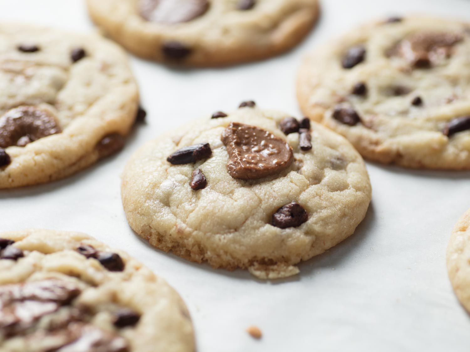Close up of baked cocoa butter cookie with chocolate chips on a baking tray. 