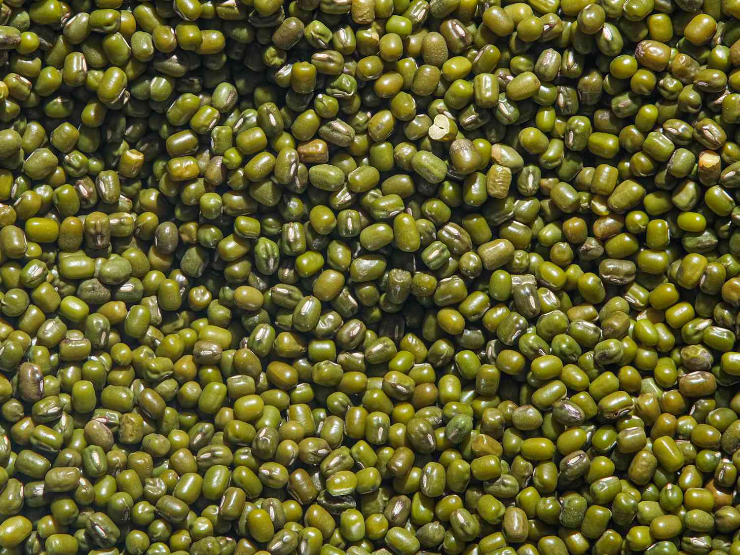 Close up of soaking green mung beans 