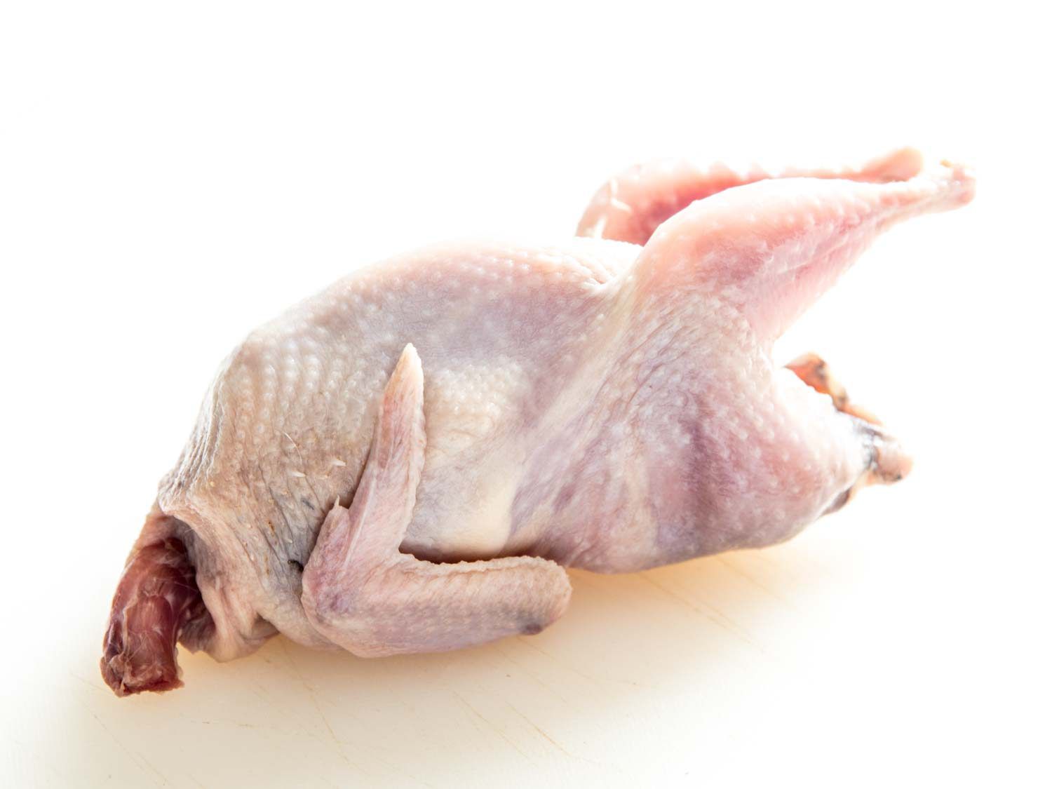 Profile view of a whole quail, set on a white cutting board.