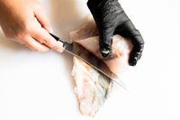 A person using the Shun Classic 6" Boning & Fillet Knife to slice a fish