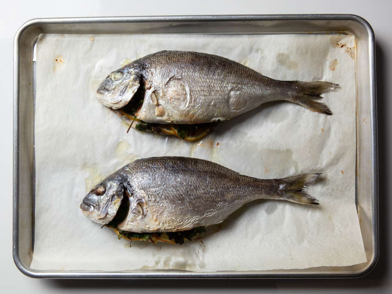 Two roasted whole fish sit on the baking sheet after being cooked, their skin is very lightly browned.