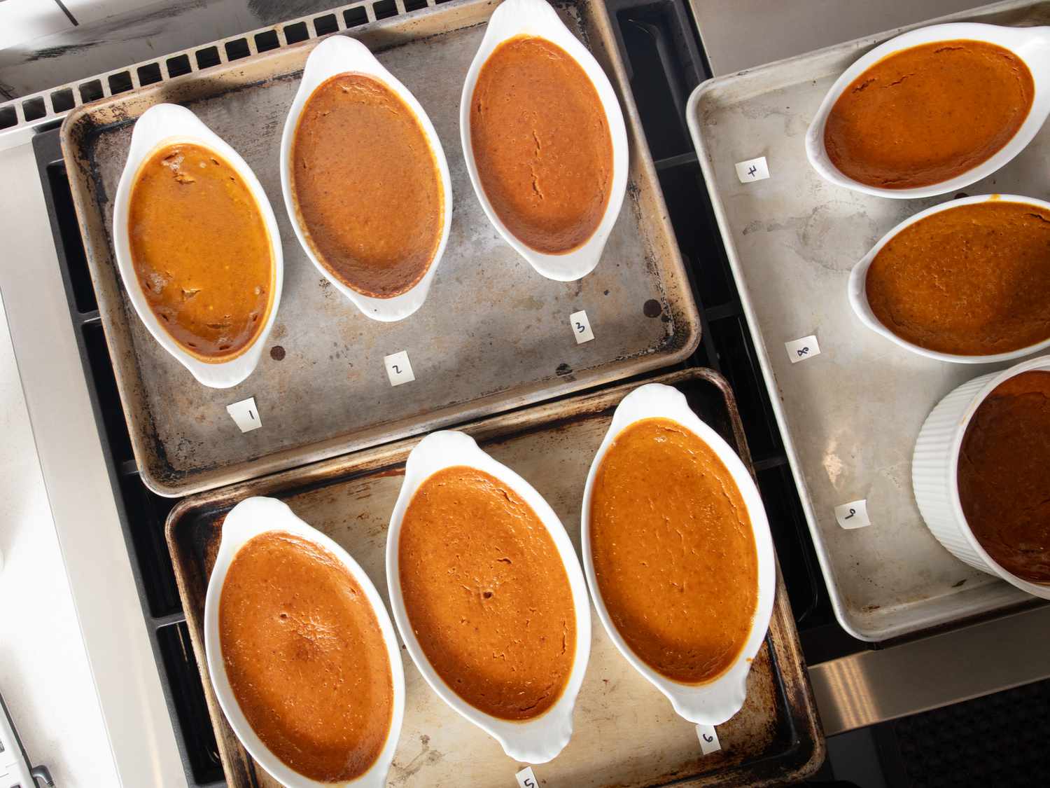 Overhead view of pumpkin puree tests