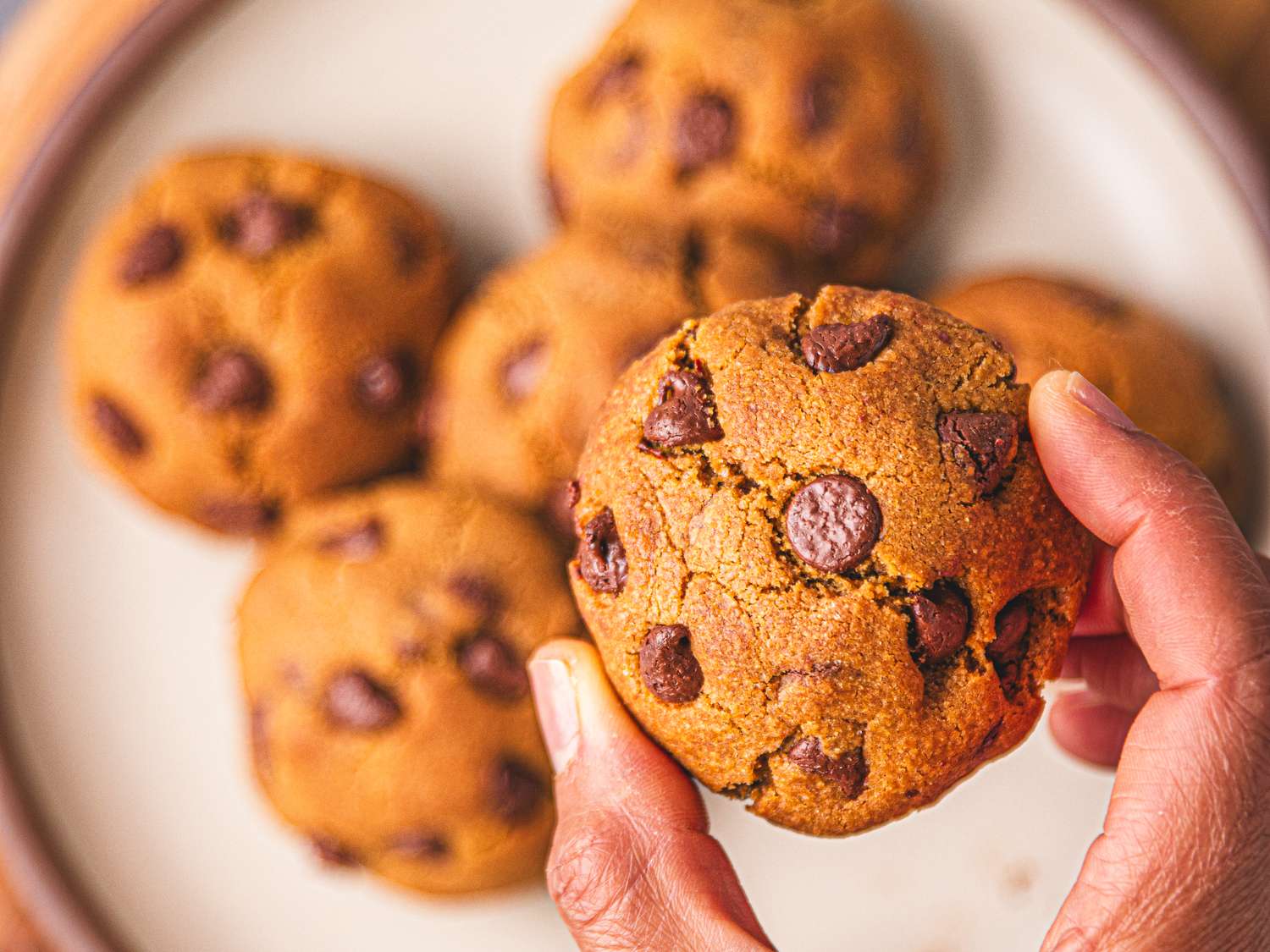 A closeup of hands holding a chocolate chip cookie with other cookies visible on a plate in the background