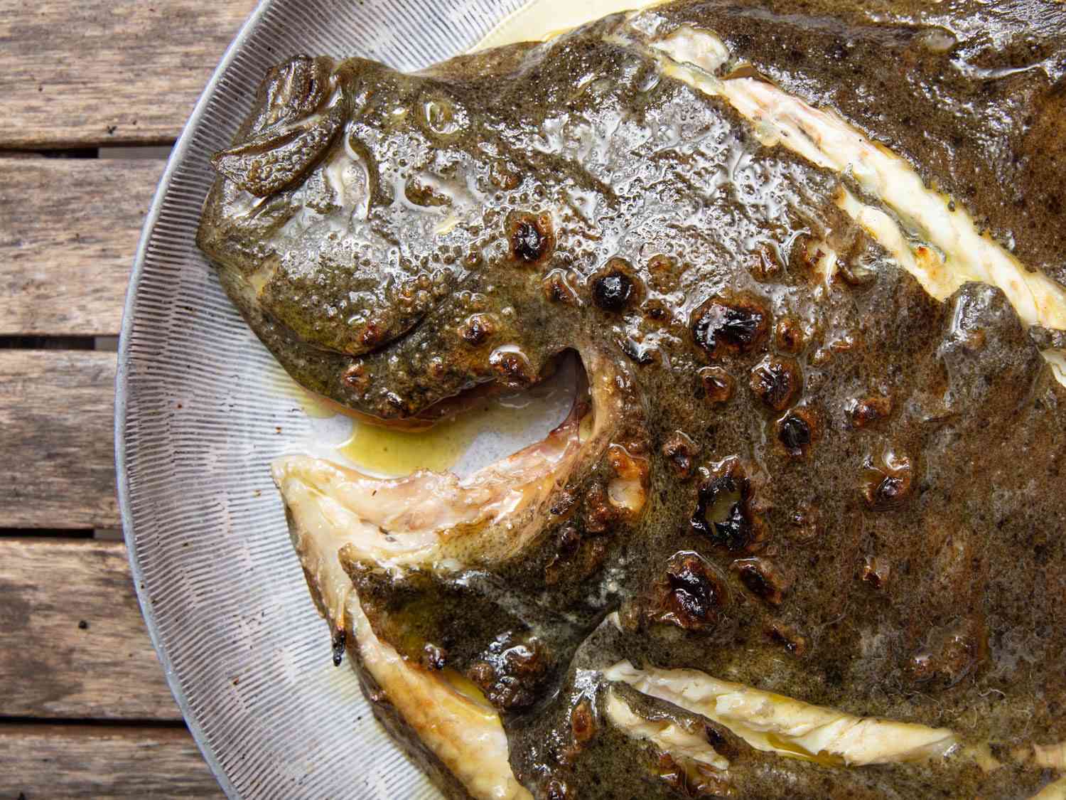 Closeup of grilled turbot on a serving platter