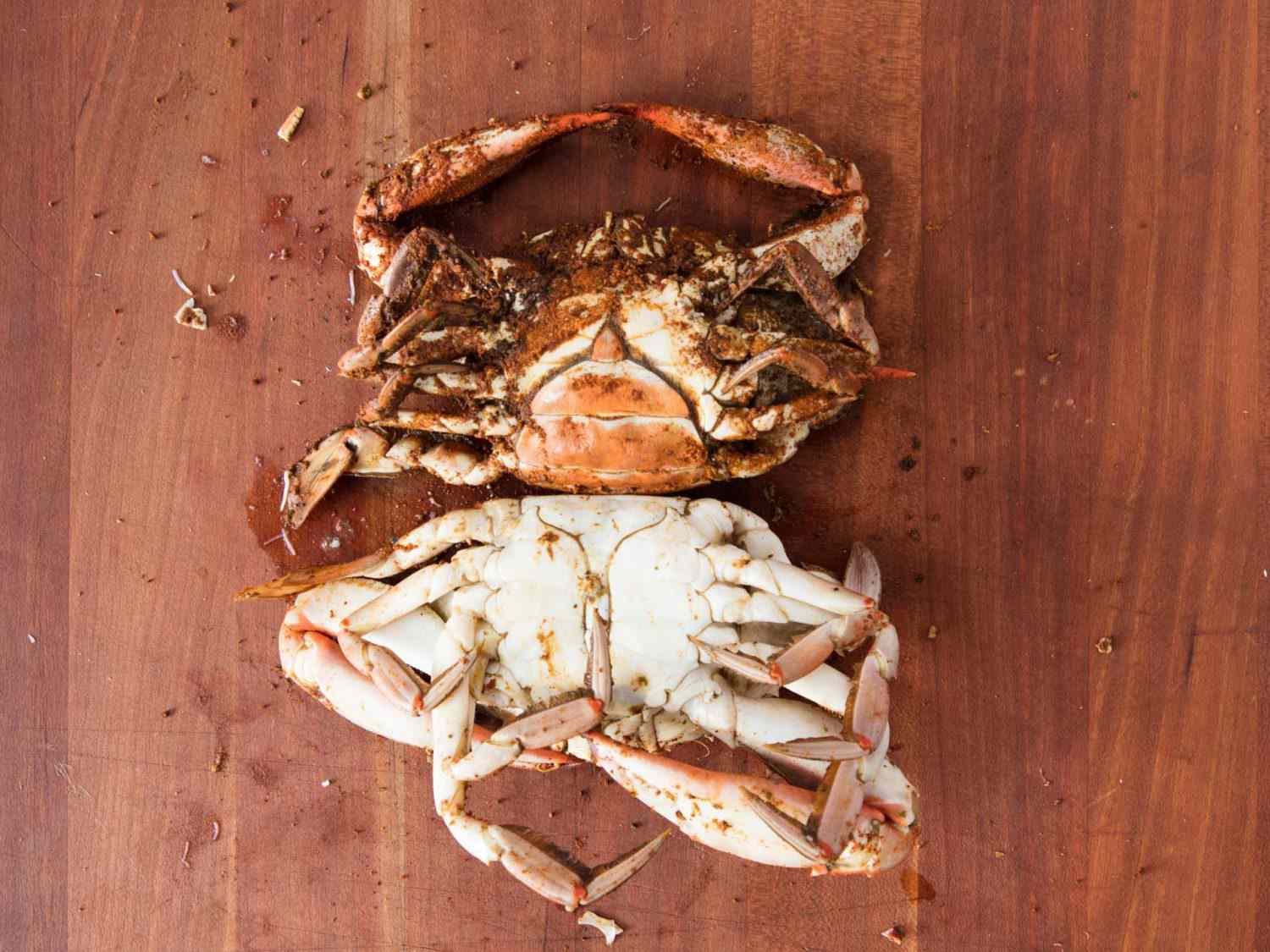 At top, a female crab with a wide apron; on the bottom, a male crab with a long and narrow apron