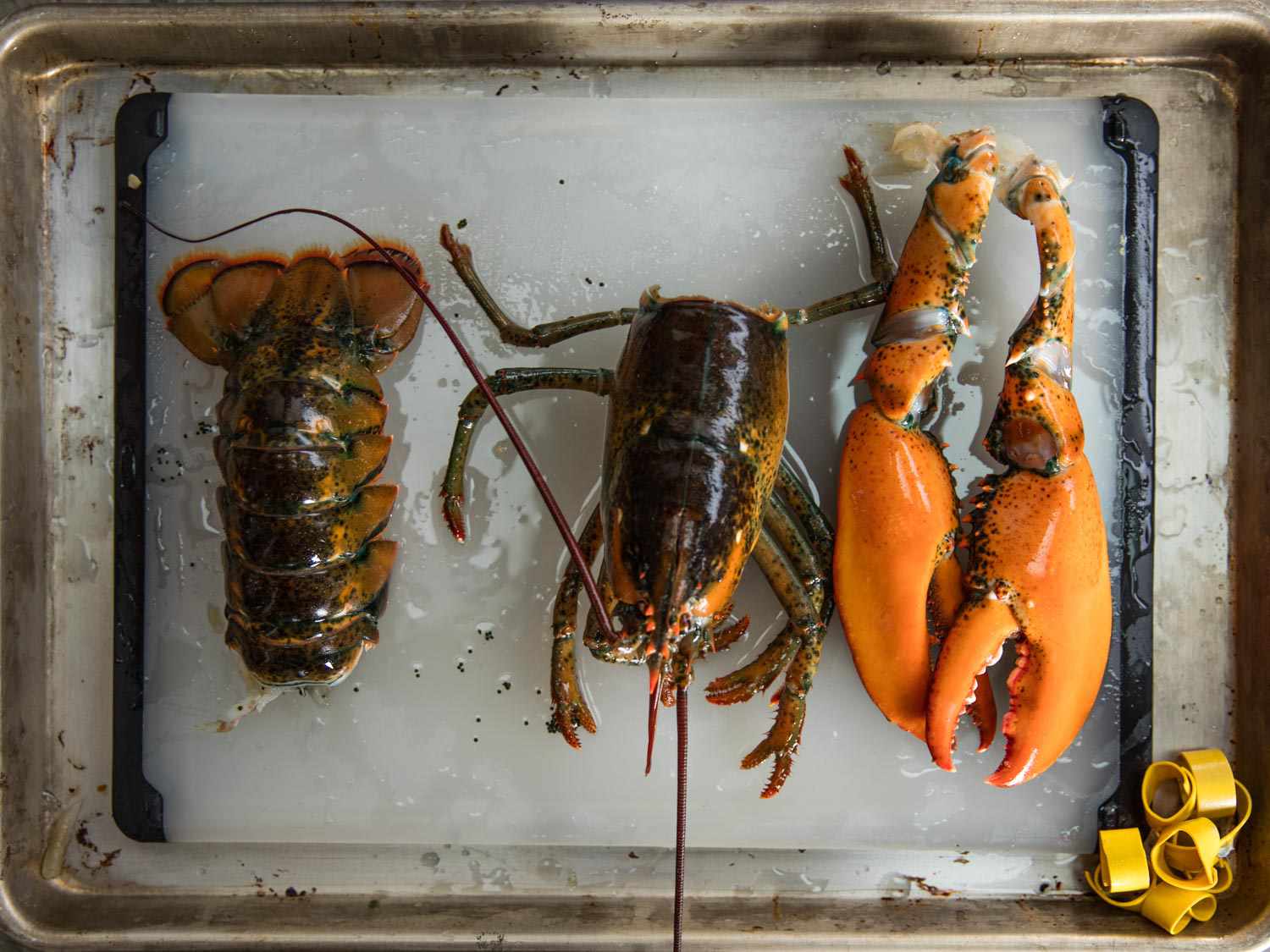 Lobster cut into tail, body, and claw portions on a cutting board set inside a rimmed baking sheet.