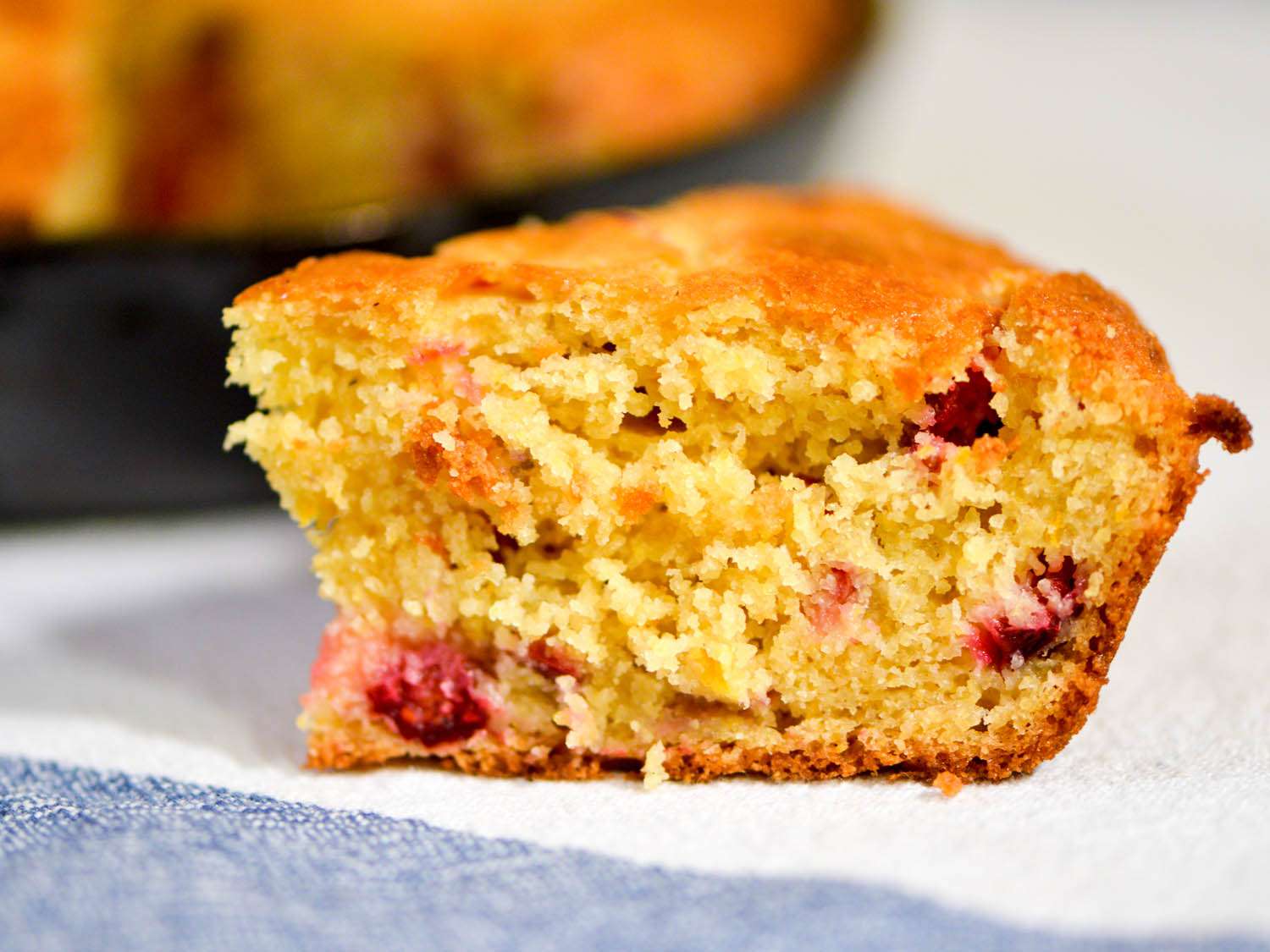 Cross-section view of orange cranberry cornbread.