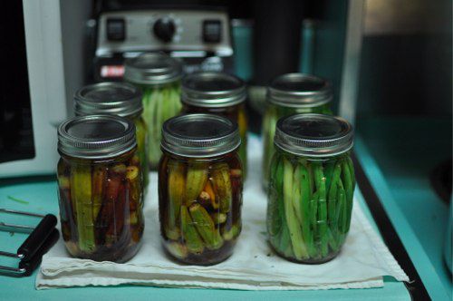 Jars of pickled okra and beans resting on a cloth and cooling to room temperature. 