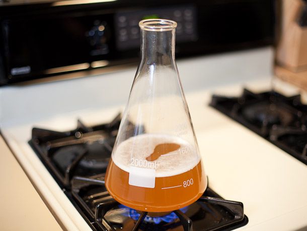 20140625-Yeast-Starter-Homebrew-610-2.jpg