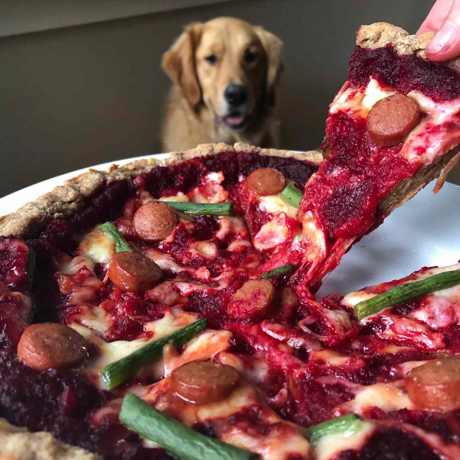 Dog-friendly pizza in the foreground, Riker the dog in the background