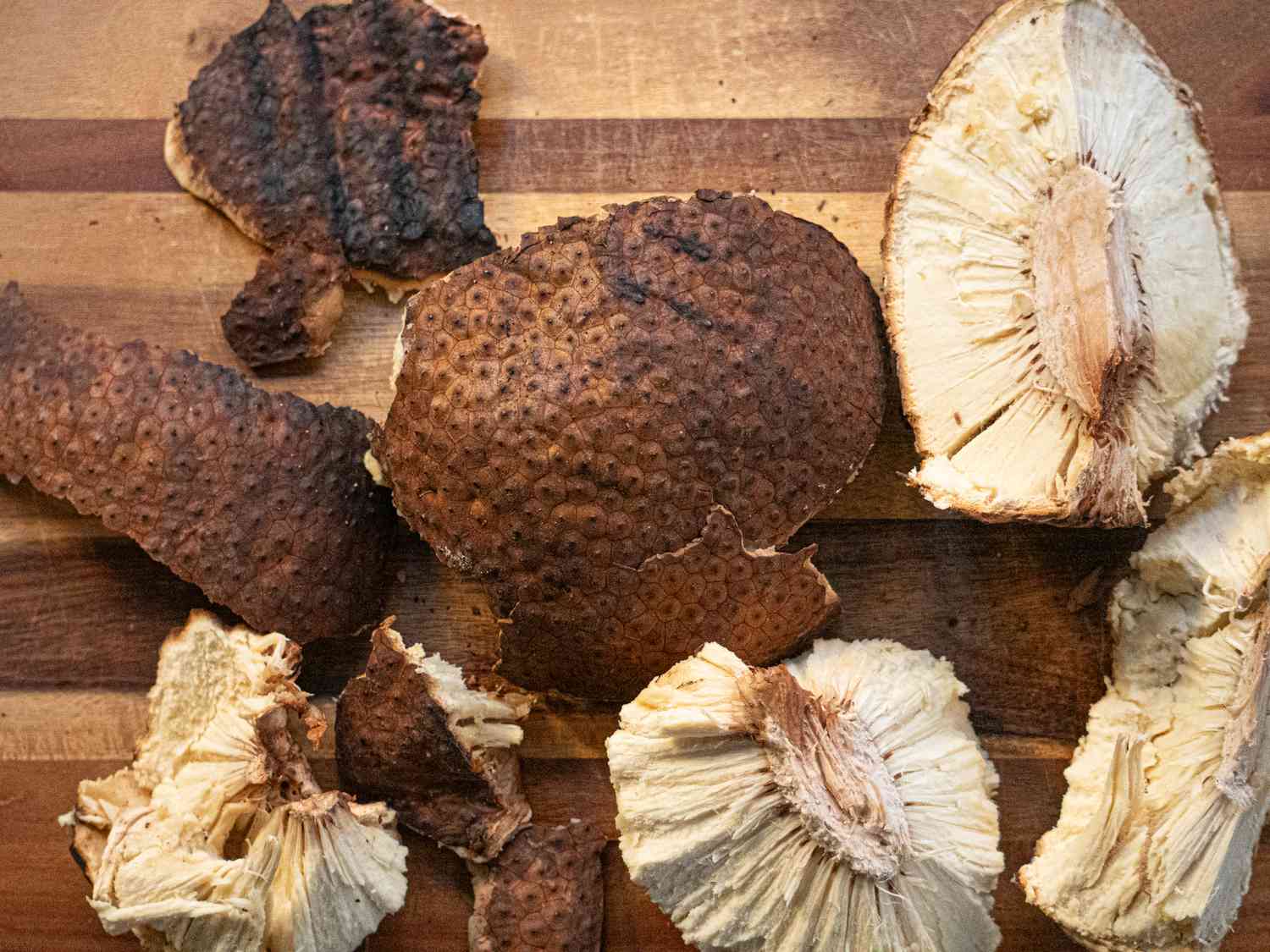 Overhead view of skin removed