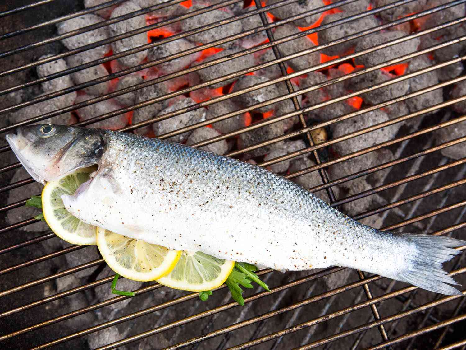 a whole fish on a grill