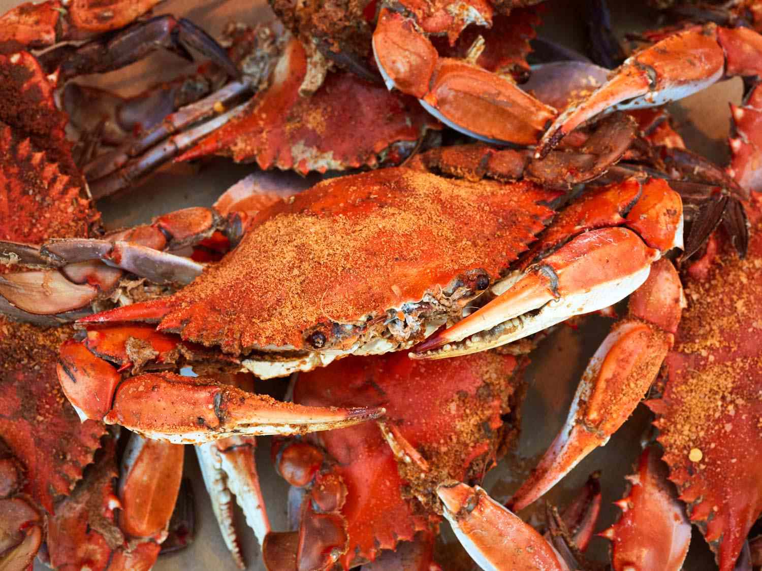 a mound of crabs at Bethesda Crab House