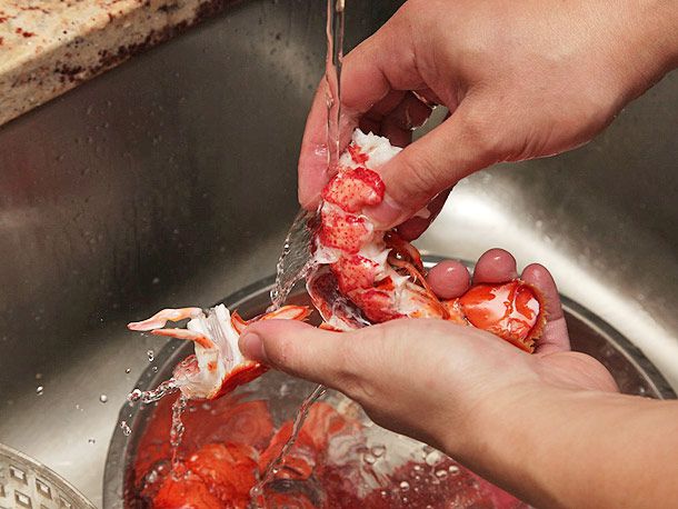 Removing tail meat from lobster shell