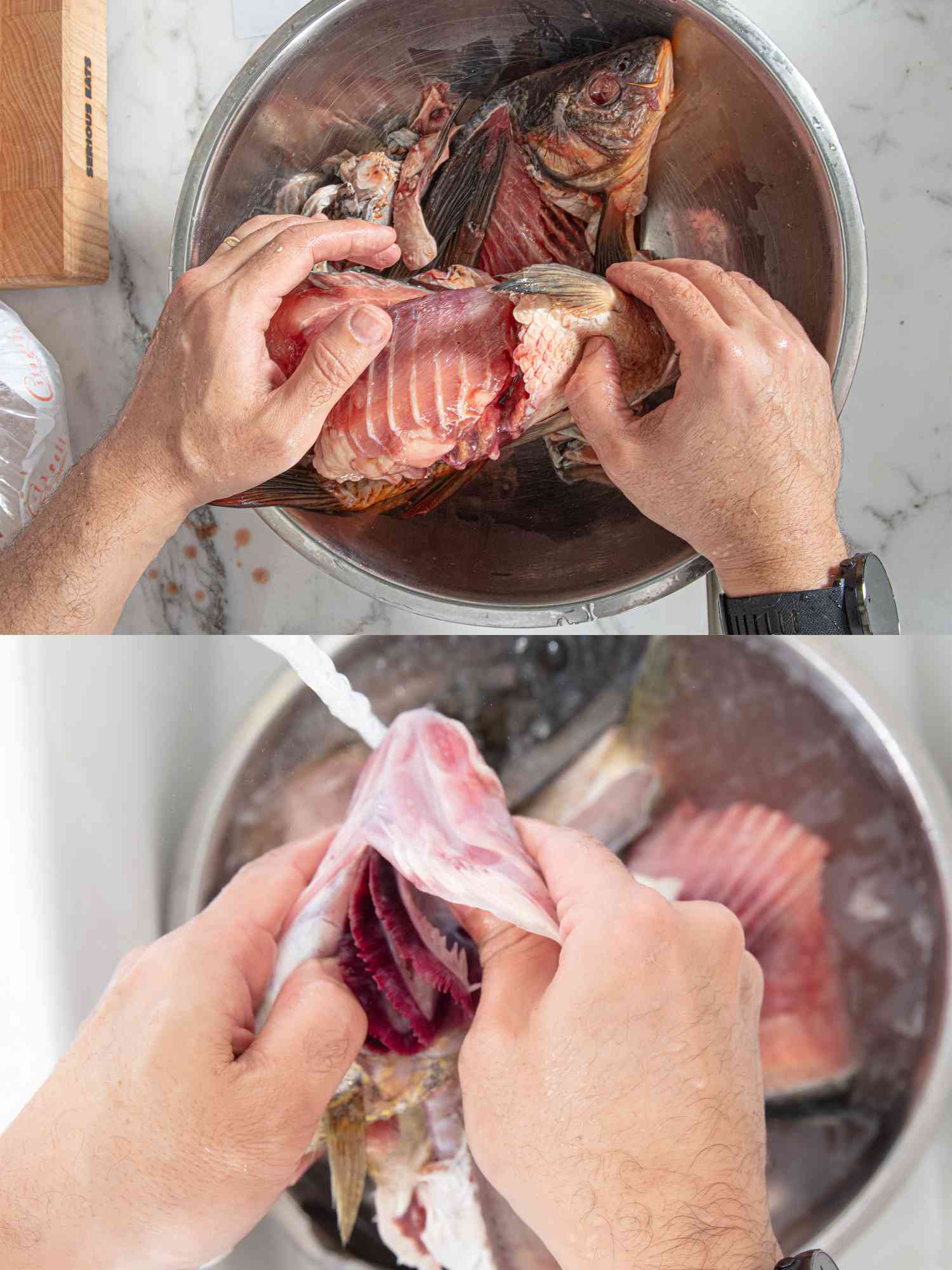 Two image collage of cleaning fish 