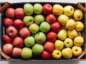 Assorted apples organized in rows within a cardboard tray