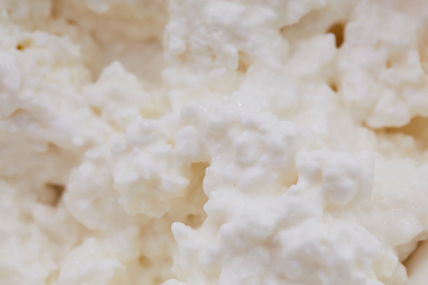 Up-close shot of cottage cheese.