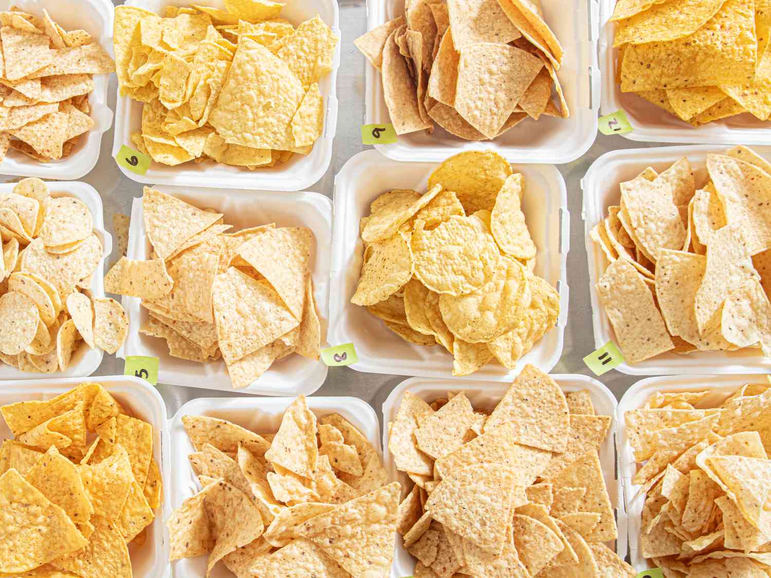 Assorted tortilla chips organized in containers for a taste test