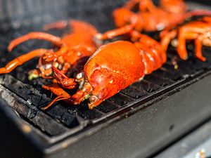20130704-258272-grilled-lobster.jpg