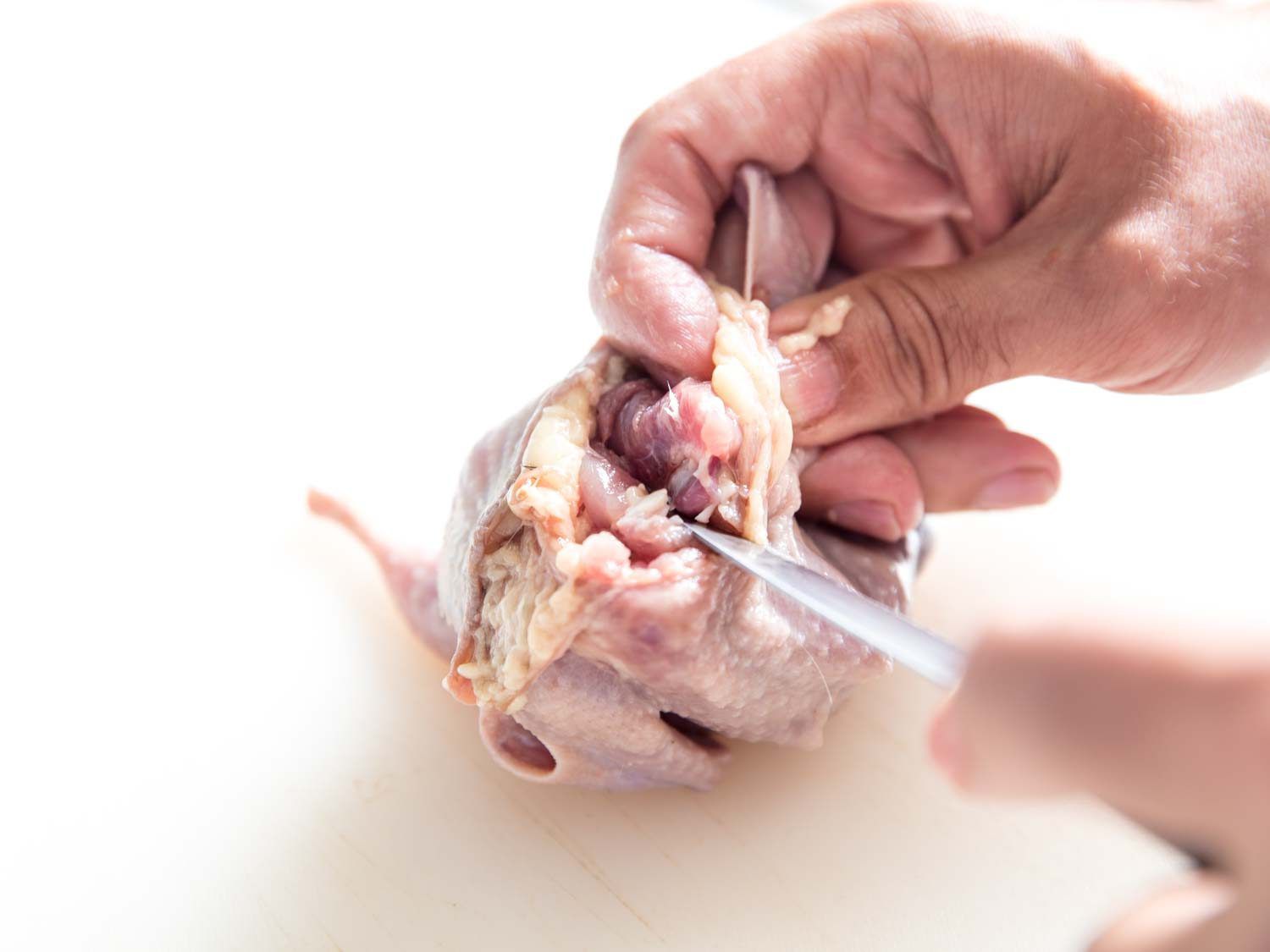 Cutting the shoulder joint of a quail as part of the deboning process.