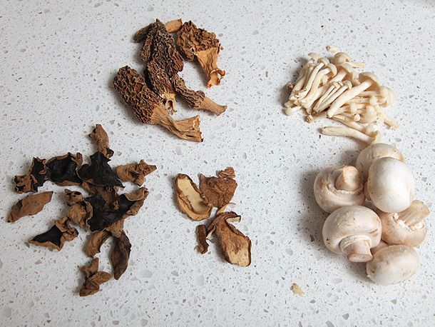 Selection of dried and fresh mushrooms: woodear, porcini, morel, enoki, and white button
