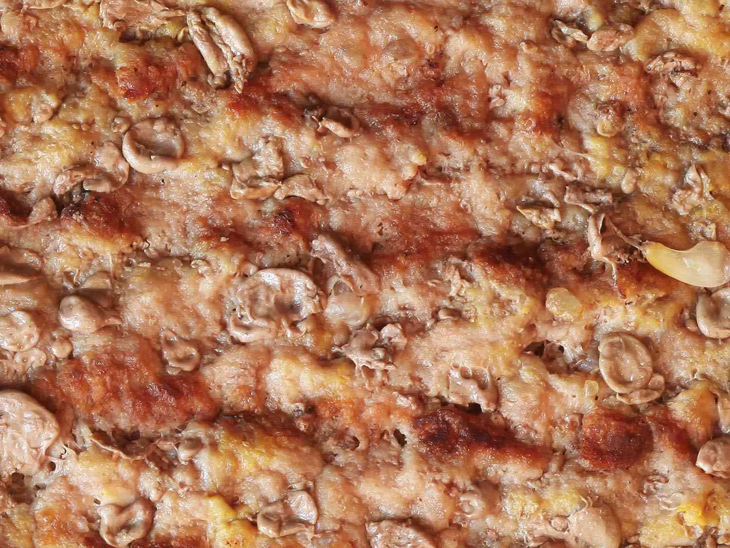 Macro image of the protein-bubbled surface of a Whopper patty.