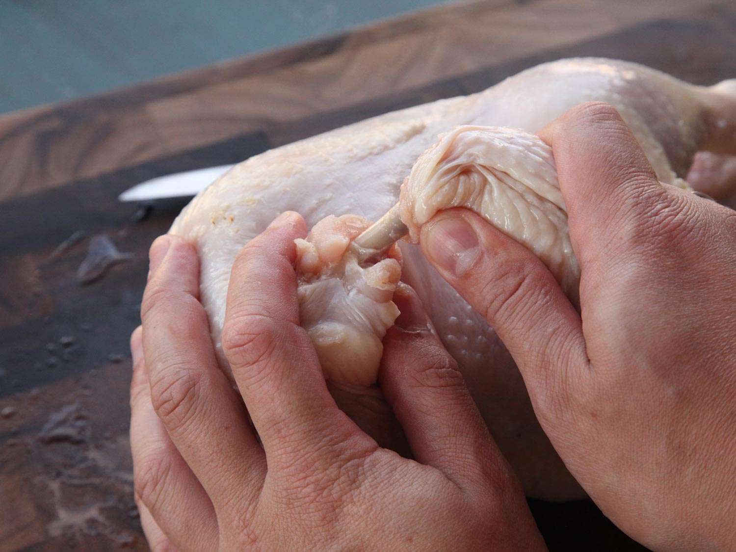 Two hands gripping a whole chicken, in order to separate the Frenched wing from the body of the chicken.