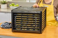 Excalibur Electric Food Dehydrator Machine is displayed with food inside