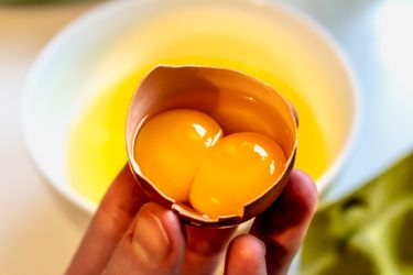 Double egg yolks held in a cracked eggshell with a bowl in the background