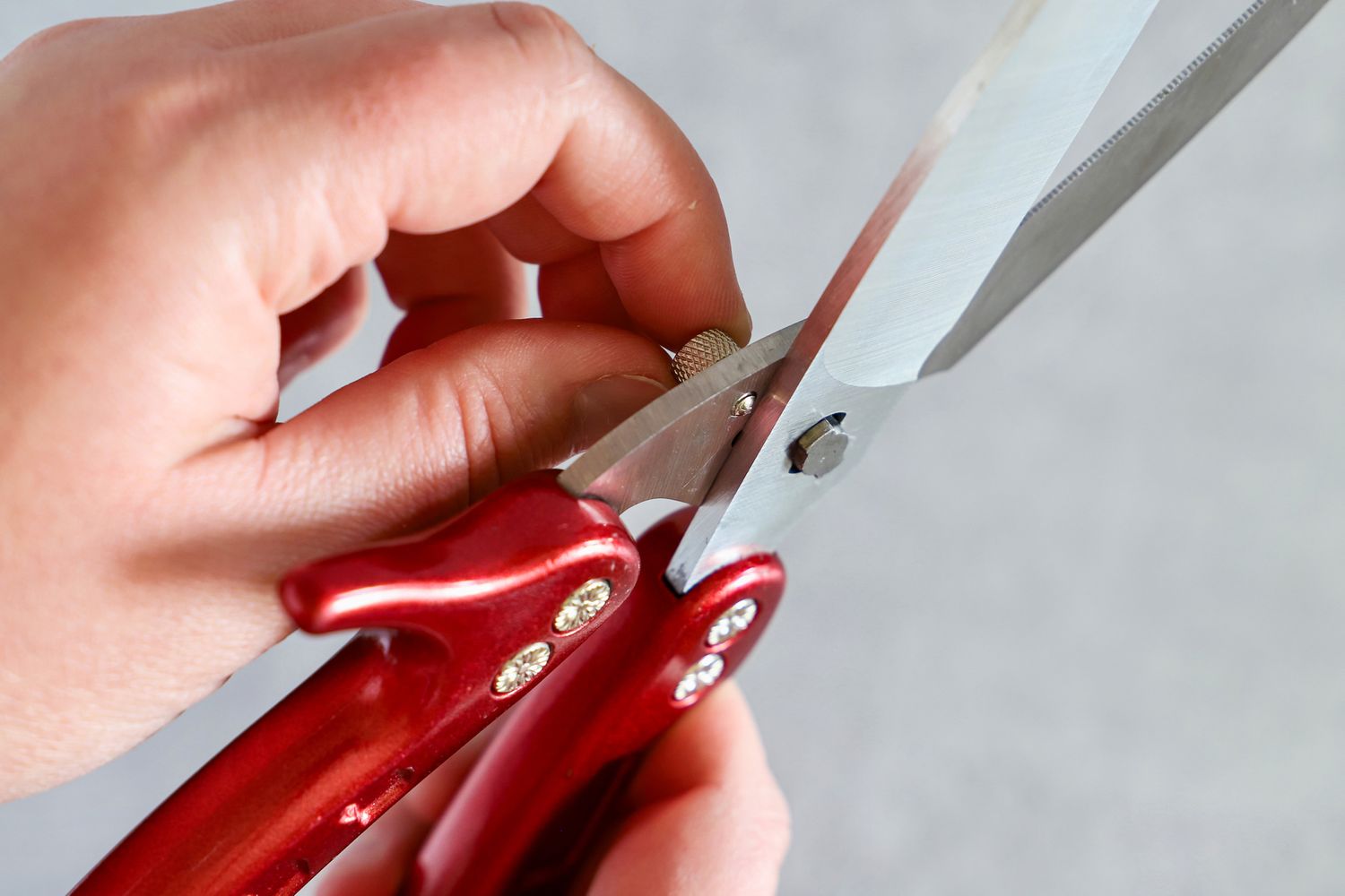 Closeup of a hand holding Dragon Riot poultry shears and adjusting a screw on the blade