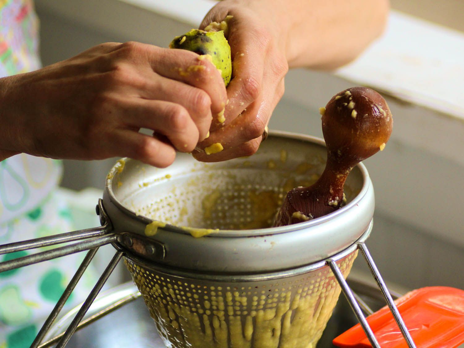 A pawpaw having its meat pulled out and put in a strainer 