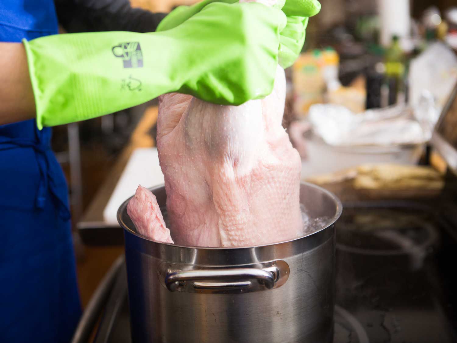 The goose is lowered by the legs halfway into a deep stockpot of boiling water to help render the fat.