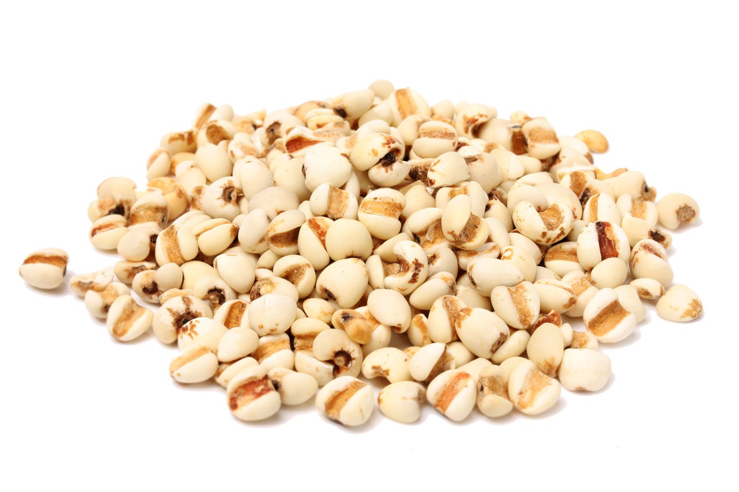 A small pile of coixseed, also known as Job's tears. 