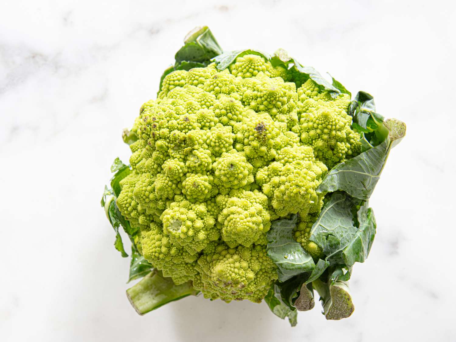 Romanesco broccoli on a white surface