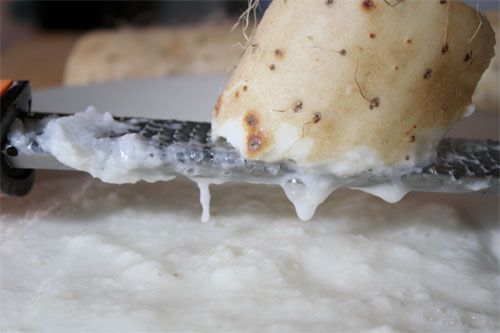 Grating a naga-imo root into a gooey mass.
