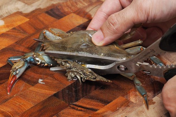 Cutting off the face and mouth parts of a soft-shell crab using kitchen shears