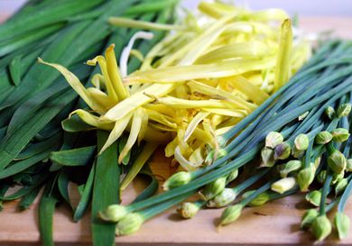 20100430-chinesechives-primary.jpg