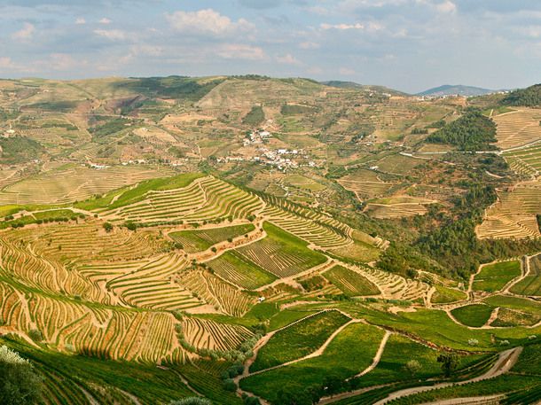 Thumbnail image for portugal douro valley