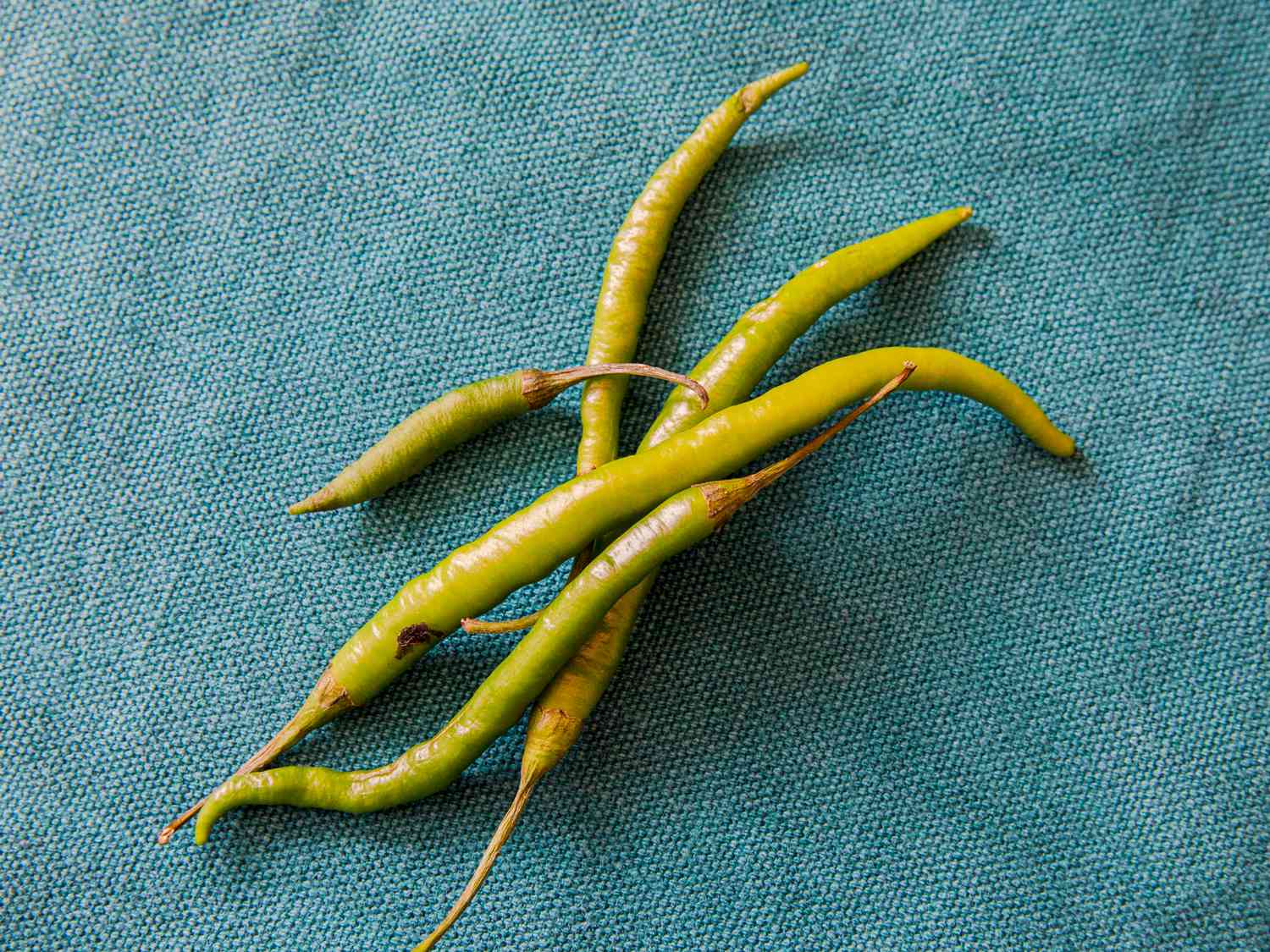 Green Chiles on a blue backdrop