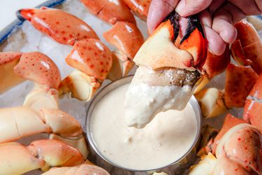A hand dipping the meat of a stone crab claw into mustard dip