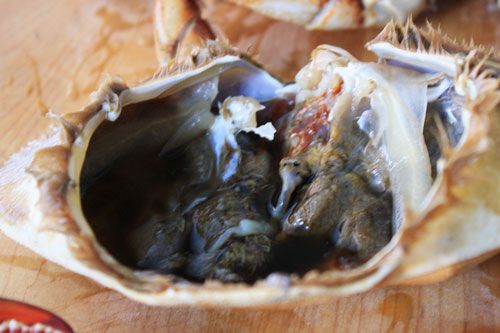 Dungeness innards