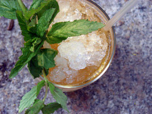 20110322julep.jpg