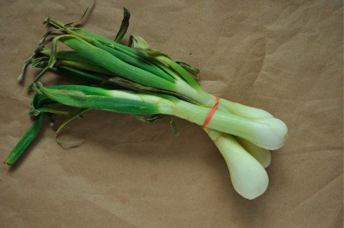 A bunch of spring onions placed on craft paper.