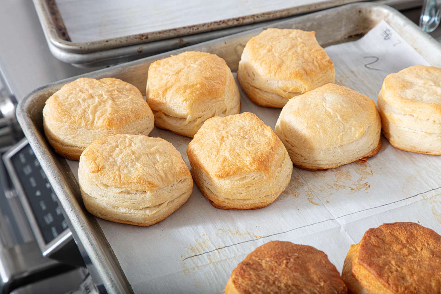 Freshly baked biscuits arranged on a baking tray lined with parchment paper