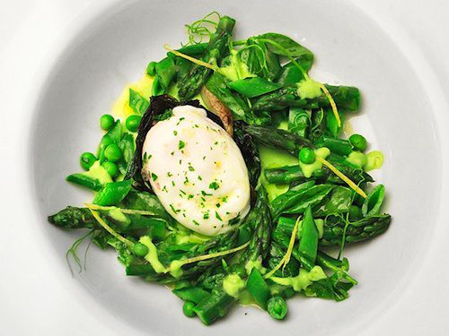A spring salad with a poached egg in the center.
