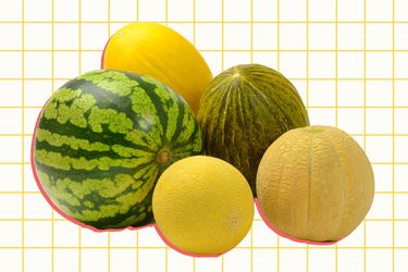 Different types of melons