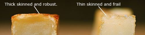 20100115-French-Fries-thick-and-thin.jpg