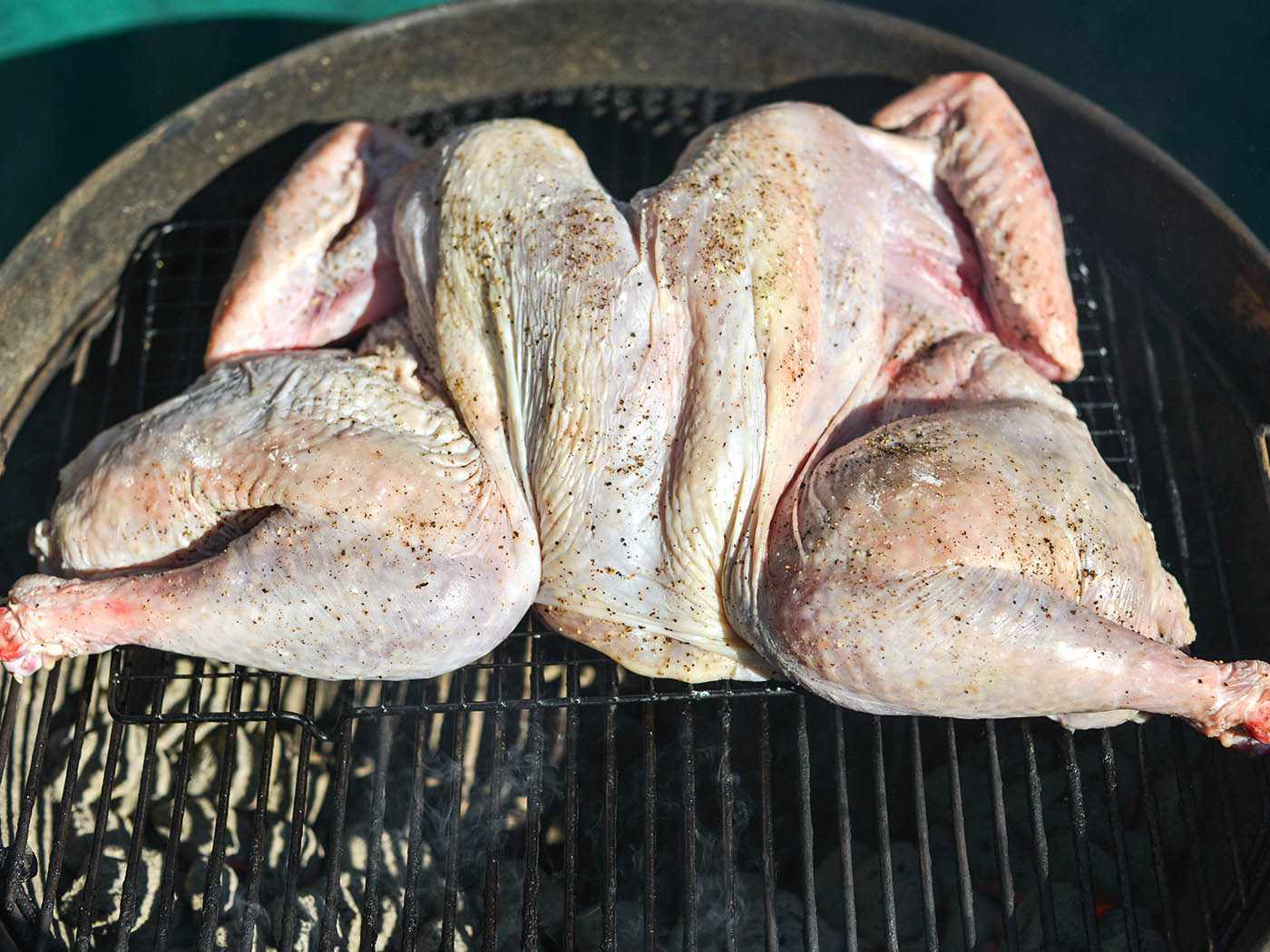 A butterflied turkey, uncooked, just placed over coals on a grill.