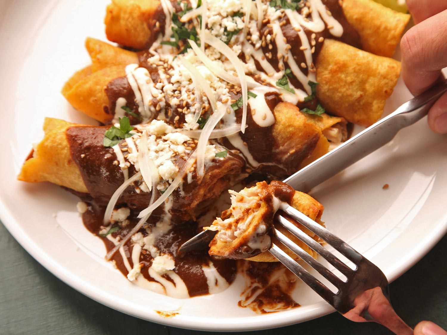 Enchiladas served with mole poblano in a plate, a fork and spoon picking up a portion. 